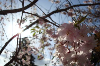 �����������������C���[�W