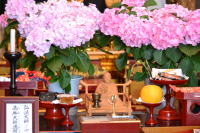 �����������������C���[�W