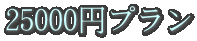 25000�~�v���� 